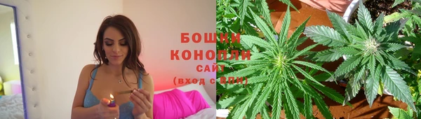 СК Горняк