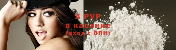 СК Горняк