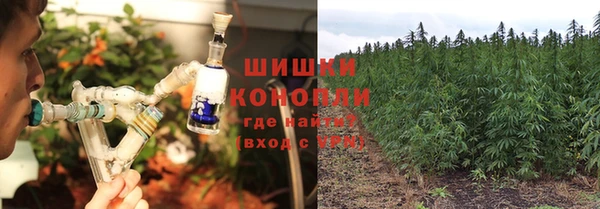 СК Горняк