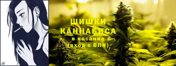 твердый Горно-Алтайск